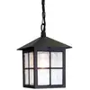 Image de Winchester - Lanterne À Chaîne Pour Plafond Extérieur À 1 Ampoule Noire Ip43, E27 - Elstead