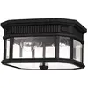 Image de Cotswold Lane plafond extérieur 2xE27 noir Feiss FE-COTSLN-F-BK