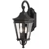 Image de Applique d'extérieur Cotswold Lane, noir et transparent, 2xE14x60W, aluminium, dimensions : 52,1 x 22,9 x 29,5 cm, IP44, Feiss
