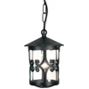 Image de Lampe d'extérieur, lanterne à chaîne, verre ALU, D 15 cm, noir