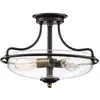 Image de Griffin plafonnier bronze Quoizel QZ-GRIFFIN-SFS-C-PNAB