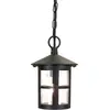 Image de Lampe d'extérieur suspendue Hereford 1xE27 noir Elstead BL21B-BLACK