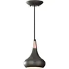 Image de Feiss - Elstead Beso - Luminaire Suspendu À 1 Dôme, Bronze Foncé, E27