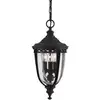 Image de Suspension d'extérieur English Bridle 3xE14 noire Feiss FE-EB8-M-BLK
