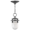 Image de Suspension extérieure grise E27 60W Reef Hinkley