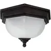 Image de Plafonnier d'extérieur Bronze ancien E27 40W Fairford Garden Zone