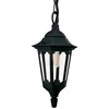 Image de Suspension d'extérieur noire E27 60 W Parish Elstead