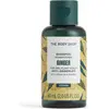 Image de THE BODY SHOP | GINGER | Shampooings