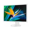 Image de NEC Display MultiSync EA241WU-WH - Écran LED - 61 cm (24 pouces)