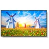 Image de NEC 165,0cm(65") MS M651 16:9 2xHDMI+DP+USB IPS (Speditionsversand)