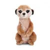 Image de AURORA 26151 Aurora MF MEERKAT