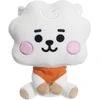 Image de Aurora BT21 RJ Baby 8In/20cm