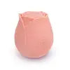 Image de Skins Rose Buddies - The Rose Purrz Vibromasseur