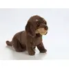 Image de Living Nature Peluche chiot teckel 16cm chien en peluche