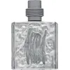 Image de Cerruti 1881 Silver Eau de Toilette pour hommes 100 ml
