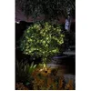 Image de Garland de led lights super smart luciole solar solar warm white