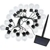 Image de Guirlande lumineuse solaire SMART GARDEN GloBulb 20, 10 mètres, 20 globes LED blanc chaud, activation automatique en soirée, éclairage fixe ou clignotant, câble noir, pour usage extérieur