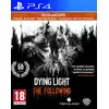 Image de Warner Bros. Games Dying Light : The Following - Enhanced Edition - Neuf