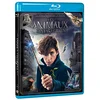 Image de Les Animaux fantastiques - Le monde des Sorciers de J.K. Rowling - Blu-ray en occasion ou reconditionné
