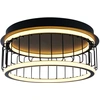 Image de 1Lt Cage Plafonnier Led, 40Cm