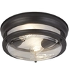 Image de Glasgow 2Lt Flush - Noir et verre, IP44