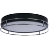 Image de Phoenix 3Lt Flush - Noir et Chrome IP44