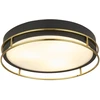 Image de Phoenix 3Lt Flush - Noir et laiton IP44