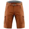 Image de Short Endura Hummvee avec peau de chamois, marron, taille L, homme, marron, taille L