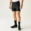 Image de Cuissard de cyclisme Dare2B Cyclical