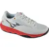 Image de Chaussures Mizuno 61GA243260