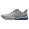 Image de Chaussures de course Mizuno pour homme WAVE SKYRISE 7 - J1GC2609, couleur : gris, pointure homme : 45