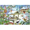 Image de Maison des Puzzles Puzzle Feed the Birds 250 Teile XL Karton Tiere