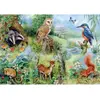 Image de House of Puzzles Puzzle XXL Animaux Étude de la nature 250 pièces