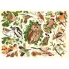 Image de House of Puzzles Puzzle Woodland Birds 500 XL Teile Karton
