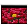 Image de OPTOMA DE-9120EGA Ecran de Projection Electrique16/9 265x149cm - Neuf