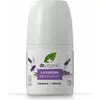 Image de Dr Organic Déodorant à bille à la lavande 50ML