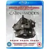 Image de CABIN IN THE WOODS, THE (BLU RAY) en occasion ou reconditionné