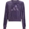 Image de Sweatshirt Adidas JW2437 pour Fille