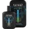 Image de Wild Beat - EDT - Volume : 100 ml