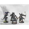 Image de Figurine Conquest - Nords - Bow Chosen - Para Bellum Figurines pour jeu de figurines - LD-PBW4411