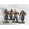 Image de Figurine Conquest - Nords - Ulfhednar (OOlf-head-nar) - Para Bellum Figurines pour jeu de figurines - LD-PBW4414