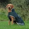 Image de Bucas Greenline Dog Rug 50g - Taille 65