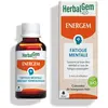 Image de Pranarom - EnerGem surcharge mentale -- 30 ml