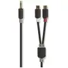 Image de Nedis CABW22250AT02 câble audio 3,5mm 2 x RCA Anthracite - Neuf