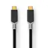 Image de Câble USB | USB 3.2 Gen 2x2 | USB-C  mâle | USB-C  mâle | 100 W | 4K@60Hz | 20 Gbps | Plaqué or | 2,00 m | Rond | PVC | Argent | Boîte