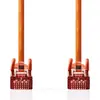 Image de Câble réseau CAT6 | RJ45 mâle | RJ45 mâle | S/FTP | 0.50 m | Rond | LSZH | Orange | Etiquette