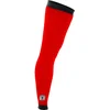 Image de Jambières Bioracer Spitfire Tempest Rouge XL Homme Rouge XL