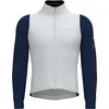 Image de Veste Bioracer Tempest Light Gris M Homme Gris M