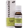 Image de Eucalyptus Radiata Huile Essentielle 10ML