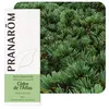 Image de Huile Essentielle De Cèdre Bio 10 Ml - Pranarôm